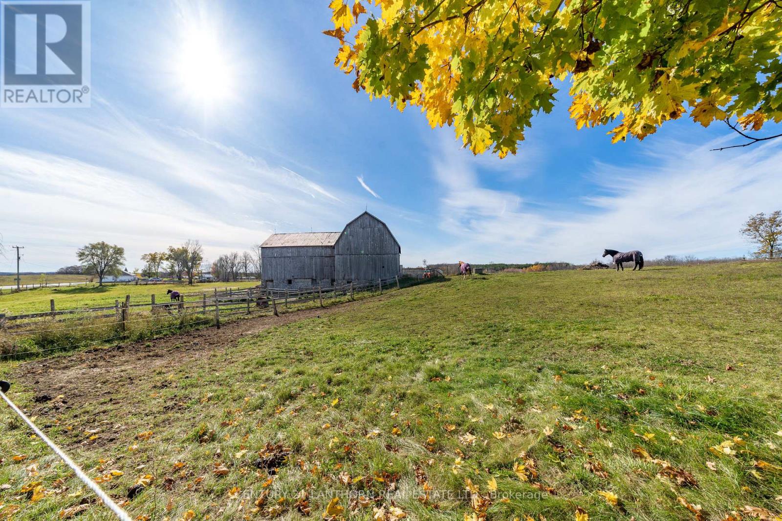 3525 Highway 37, Belleville, Ontario  K0K 2Y0 - Photo 24 - X12055357