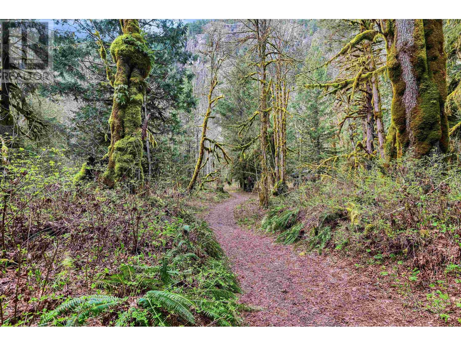 14886 Squamish Valley Road, Squamish, British Columbia  V0N 1H0 - Photo 34 - R2992823