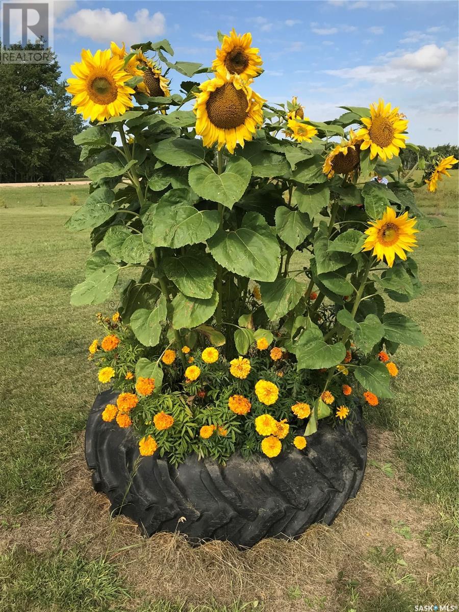 Lot at Rhona Lake, rhona lake, Saskatchewan