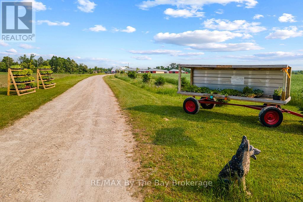 828482 Mulmur Nottawasaga Townline, Mulmur, Ontario  L9V 0Y9 - Photo 6 - X12011953