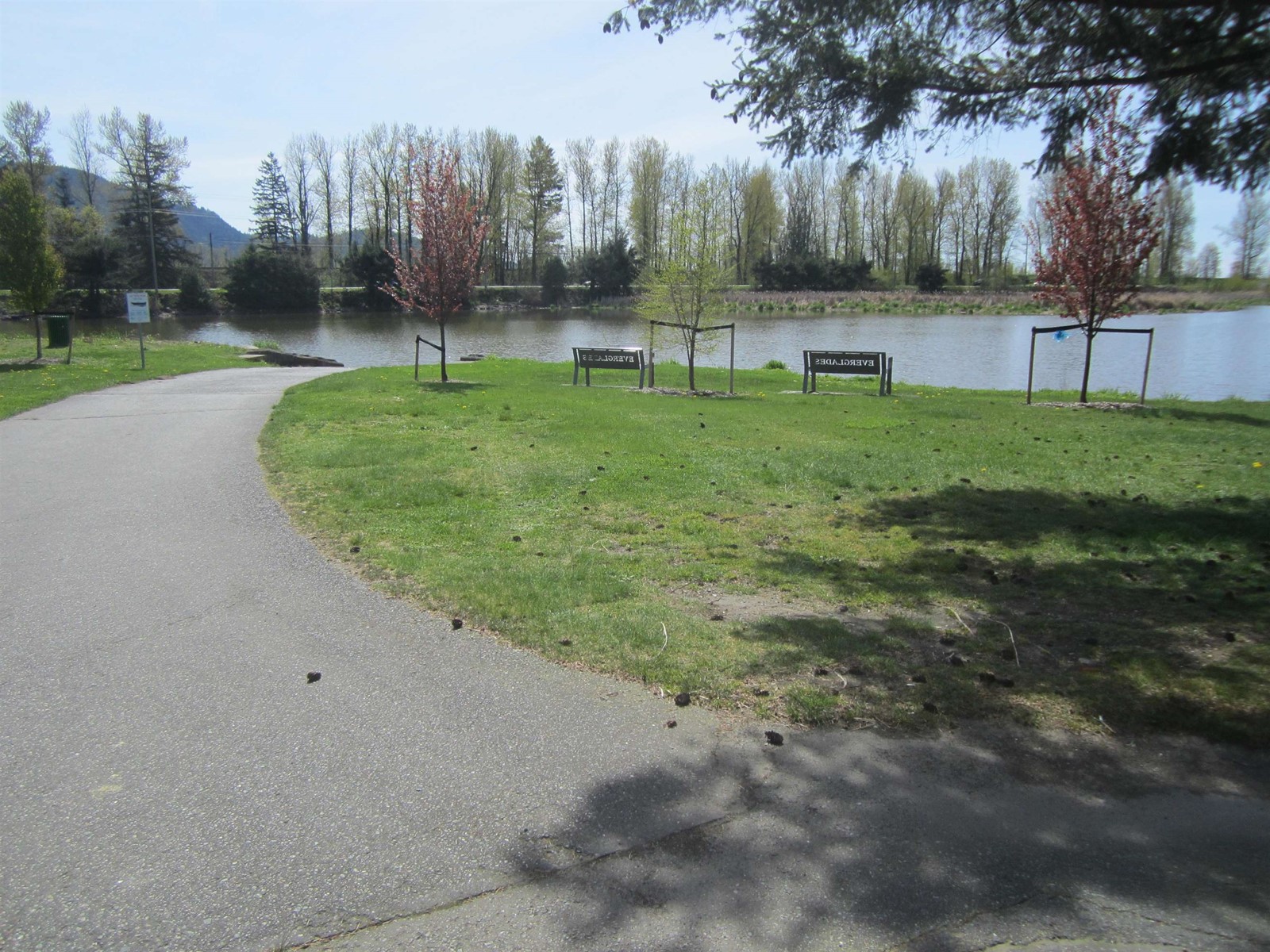 68 8400 Shook Road, Mission, British Columbia  V0V 0V0 - Photo 7 - R2992442