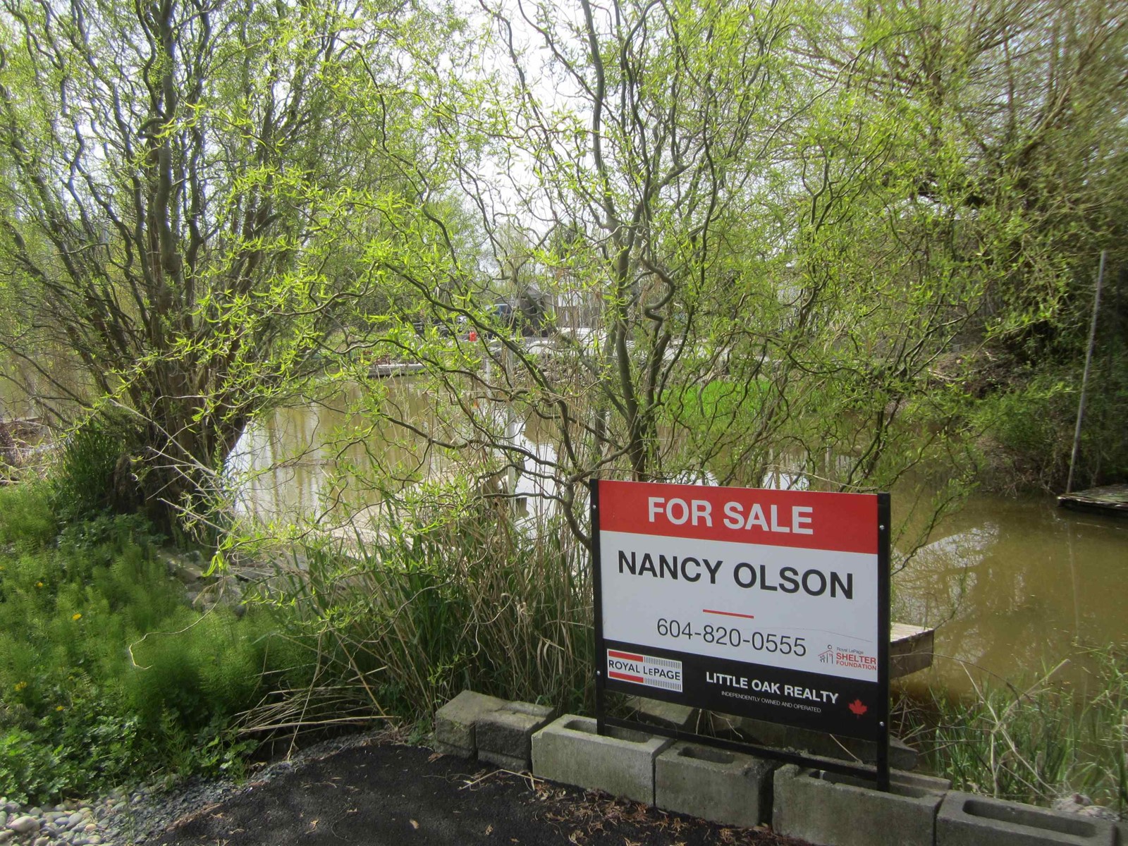 68 8400 Shook Road, Mission, British Columbia  V0V 0V0 - Photo 5 - R2992442