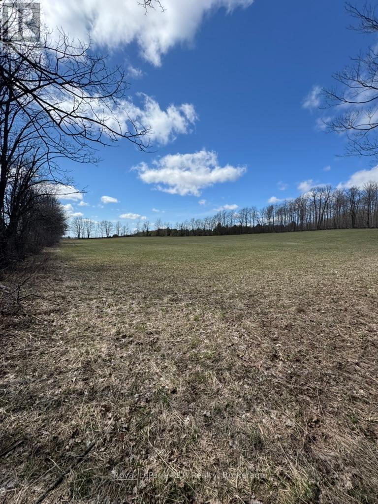 Pt Lot 60 Rp 17r3562 Part 3, West Grey, Ontario  N0G 1R0 - Photo 14 - X11896543