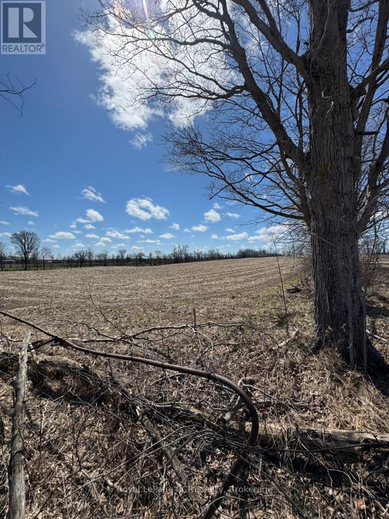 Pt Lot 60 Rp 17r3562 Part 3, West Grey, Ontario  N0G 1R0 - Photo 11 - X11896543