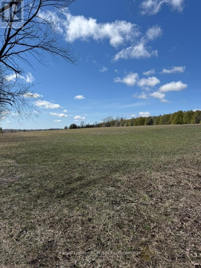 Pt Lot 60 Rp 17r3562 Part 3, West Grey, Ontario  N0G 1R0 - Photo 15 - X11896543