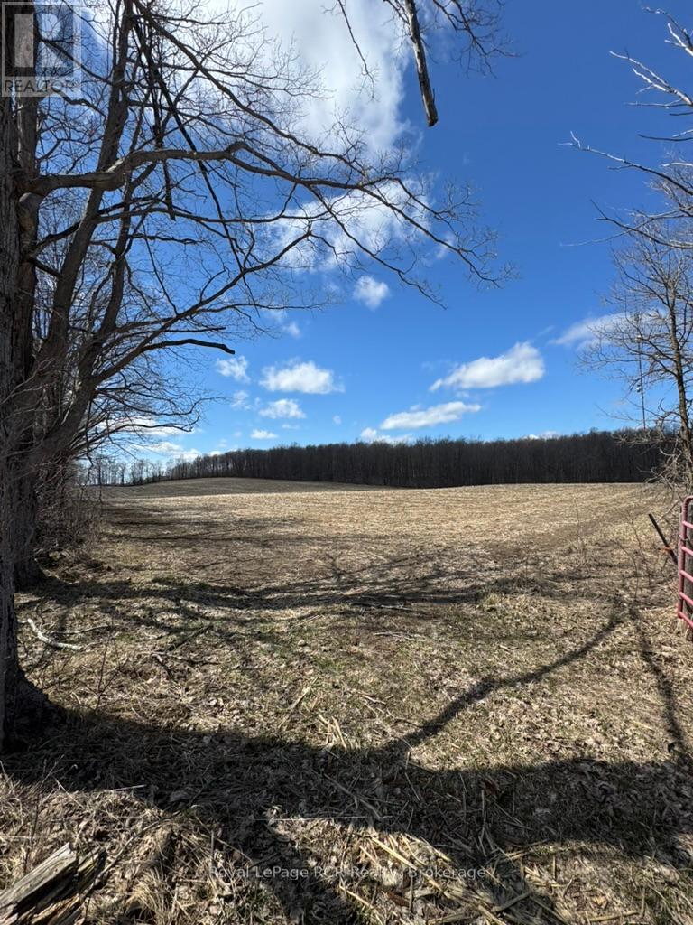 Pt Lot 60 Rp 17r3562 Part 3, West Grey, Ontario  N0G 1R0 - Photo 12 - X11896543