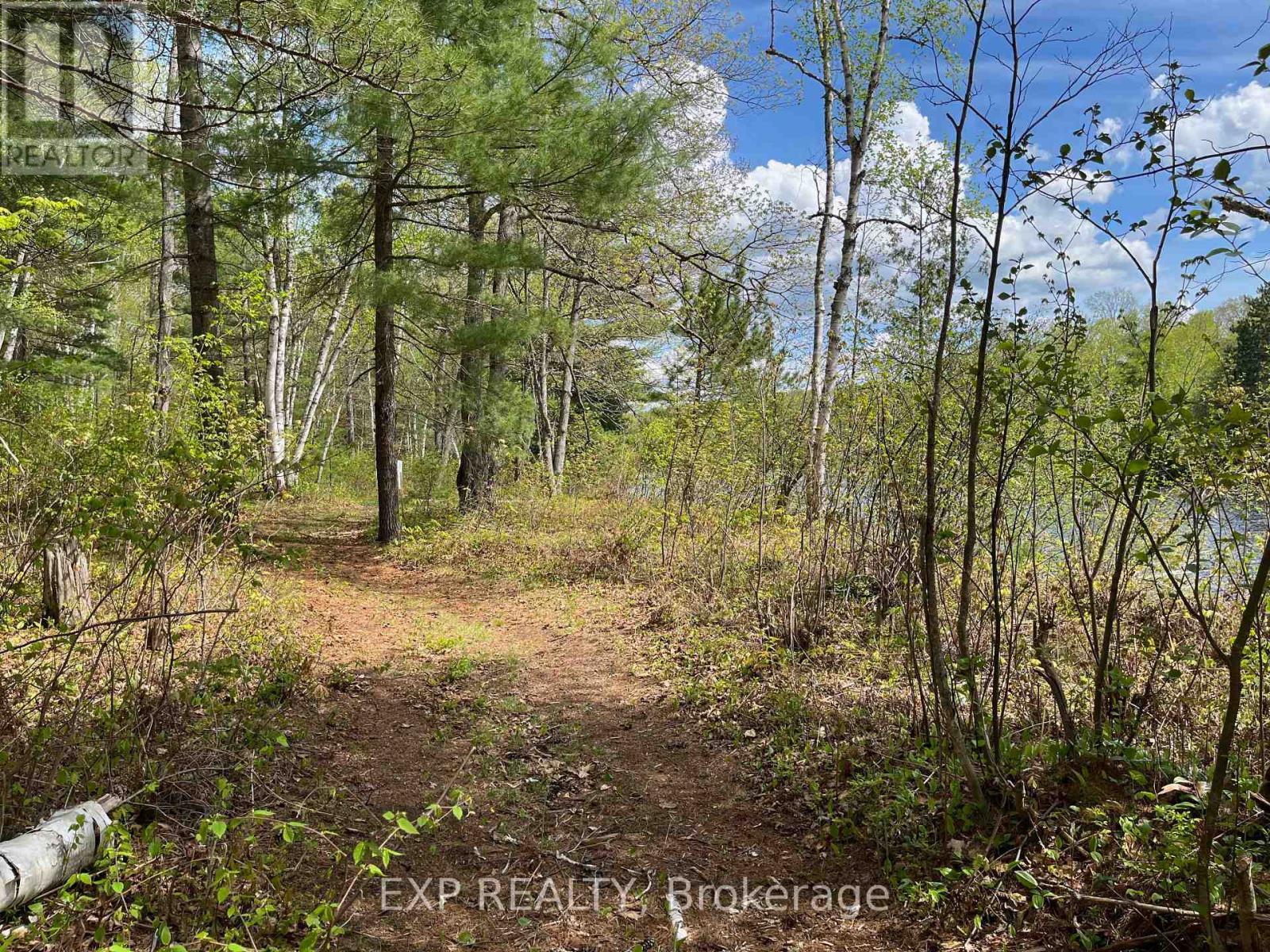 Lot 40 Sandy Shores Trail, Madawaska Valley, Ontario  K0J 1B0 - Photo 2 - X12091921
