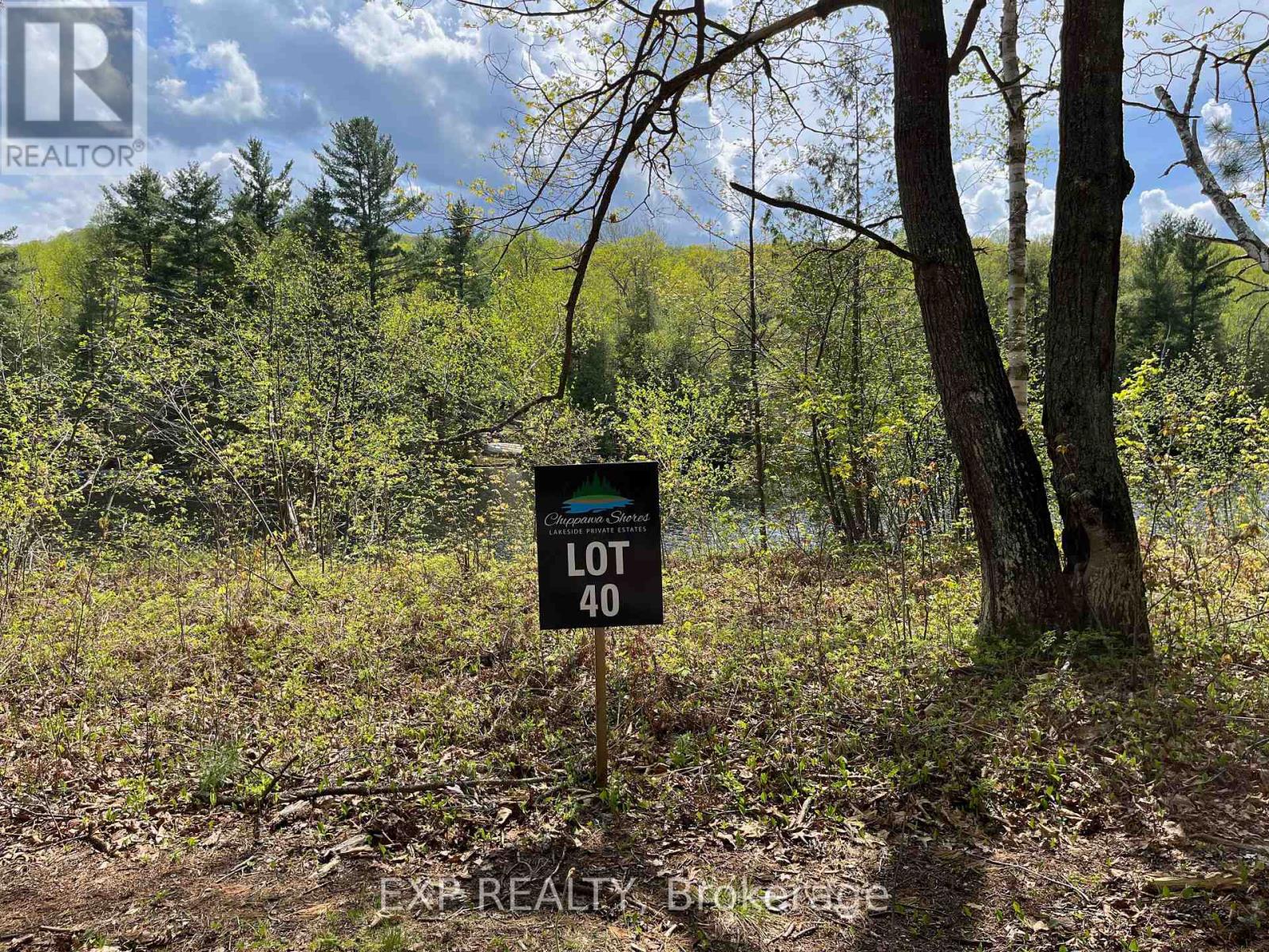 Lot 40 Sandy Shores Trail, Madawaska Valley, Ontario  K0J 1B0 - Photo 3 - X12091921