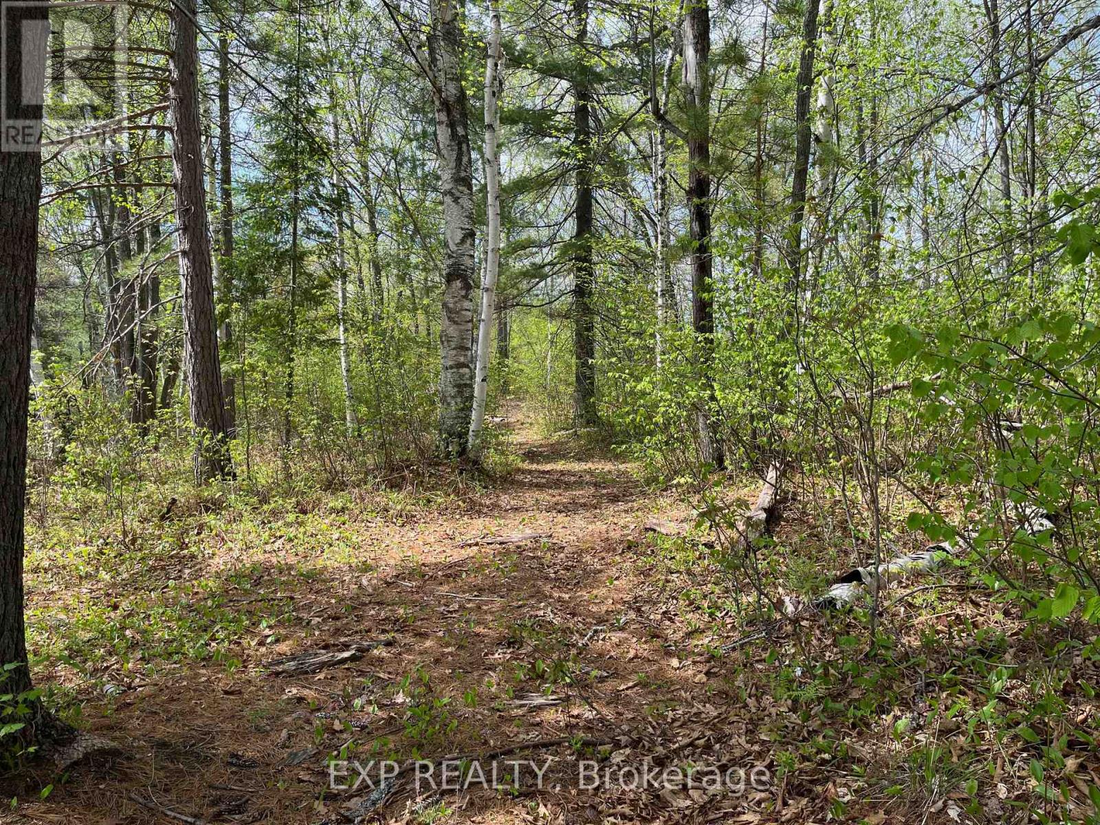 Lot 40 Sandy Shores Trail, Madawaska Valley, Ontario  K0J 1B0 - Photo 5 - X12091921