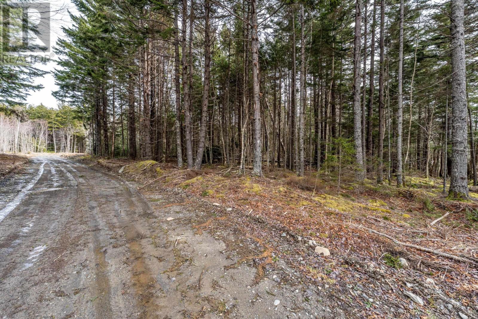Lot Grosses Coques Road, Grosses Coques, Nova Scotia  B0W 1M0 - Photo 8 - 202508555