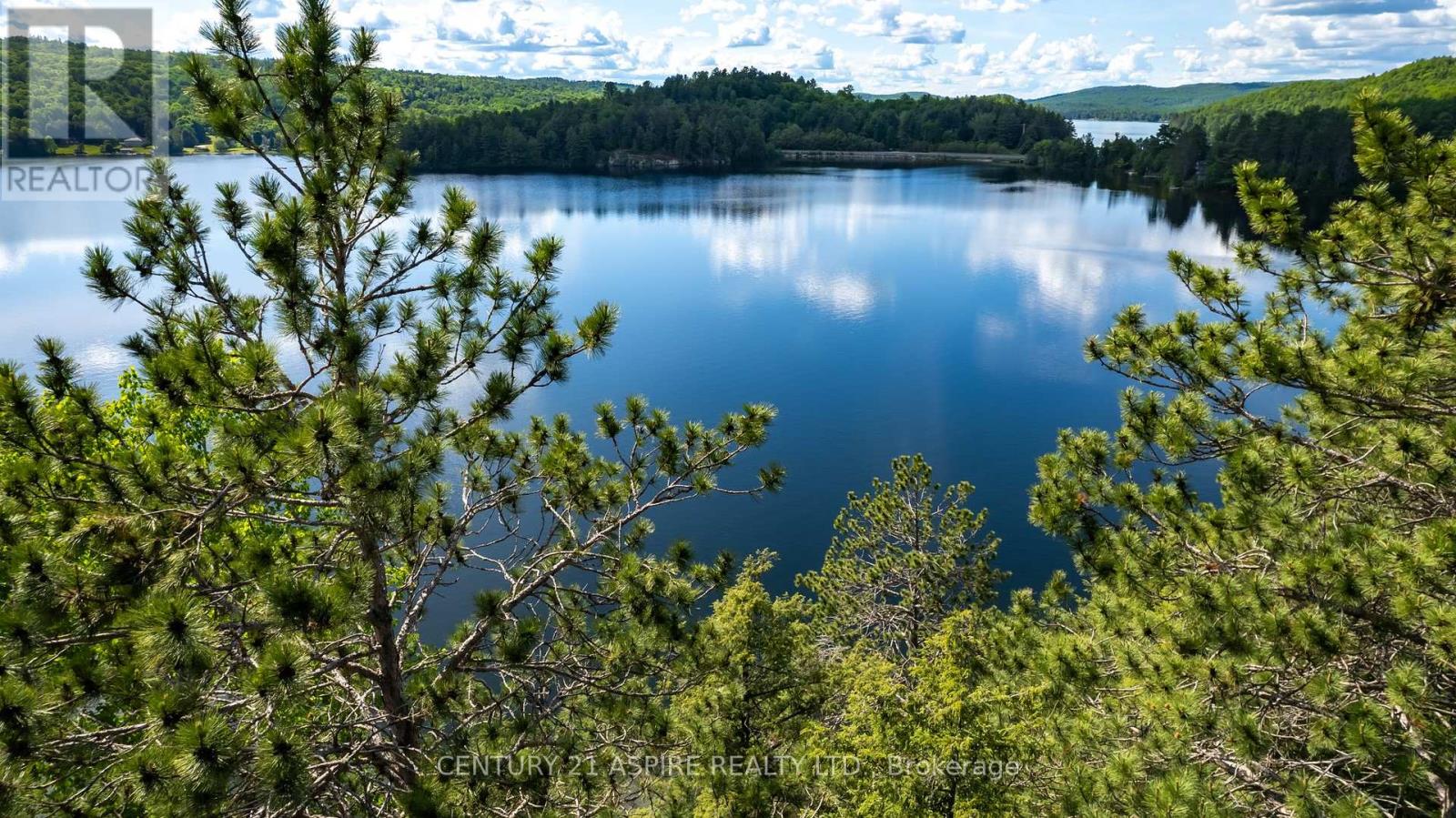 158 Eastside Trout Lake Lane, Madawaska Valley, Ontario  K0J 1B0 - Photo 11 - X12097800