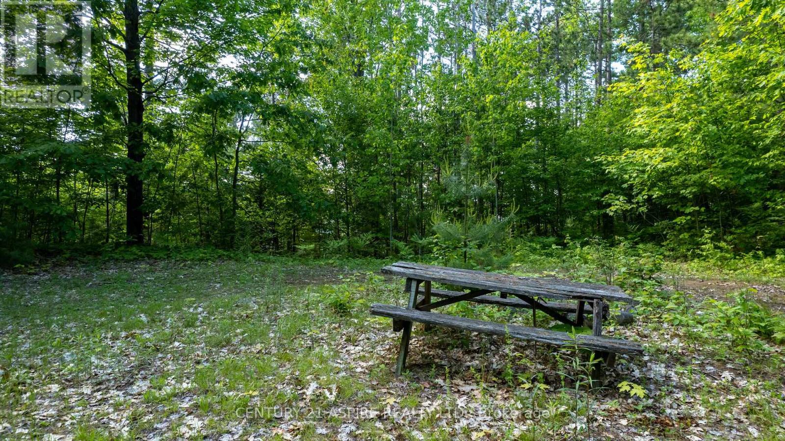 158 Eastside Trout Lake Lane, Madawaska Valley, Ontario  K0J 1B0 - Photo 35 - X12097800
