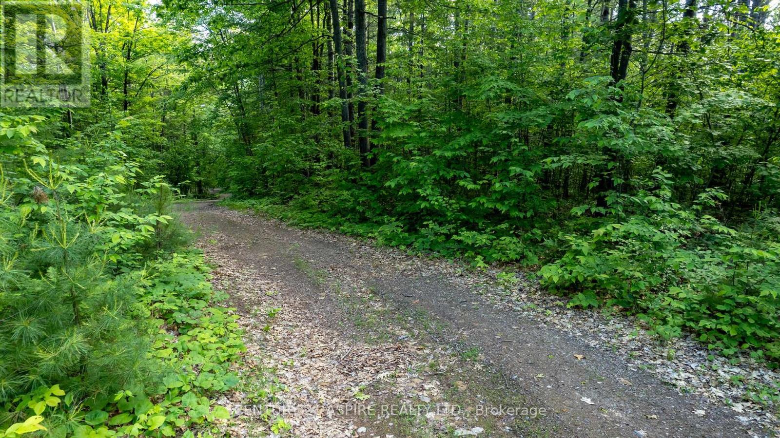 158 Eastside Trout Lake Lane, Madawaska Valley, Ontario  K0J 1B0 - Photo 36 - X12097800