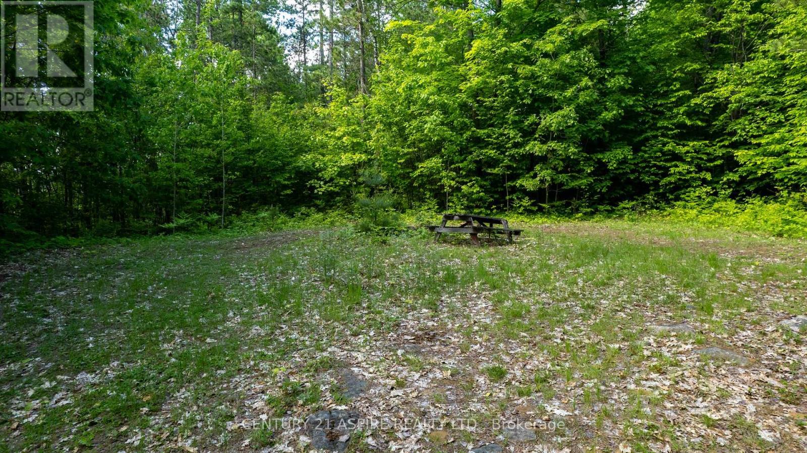 158 Eastside Trout Lake Lane, Madawaska Valley, Ontario  K0J 1B0 - Photo 37 - X12097800