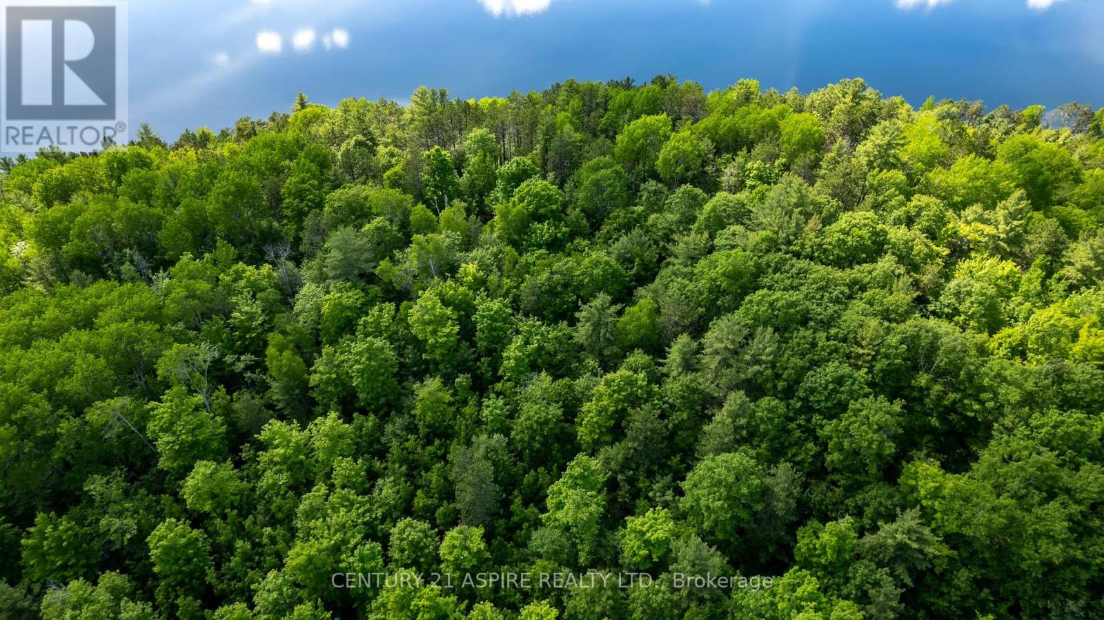 158 Eastside Trout Lake Lane, Madawaska Valley, Ontario  K0J 1B0 - Photo 40 - X12097800