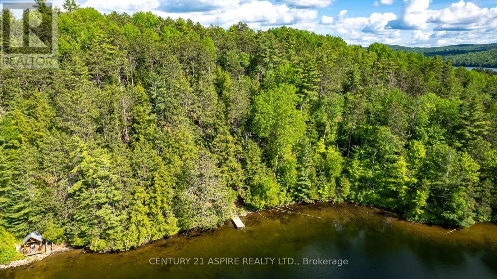 158 Eastside Trout Lake Lane, Madawaska Valley, Ontario  K0J 1B0 - Photo 9 - X12097800