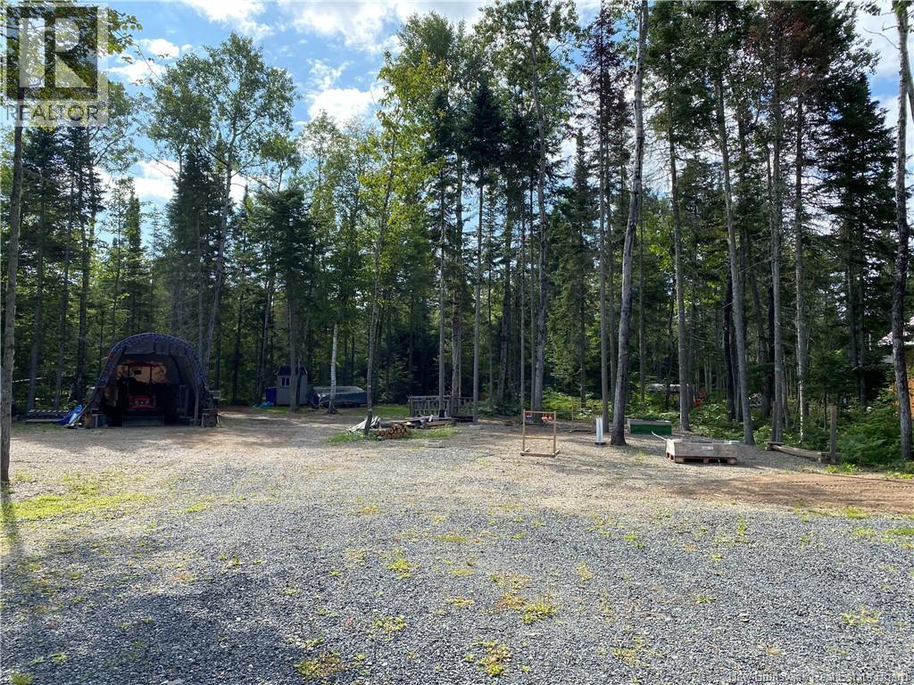 390 Theriault Road, Middle River, New Brunswick  E2A 6Y8 - Photo 27 - NB116813