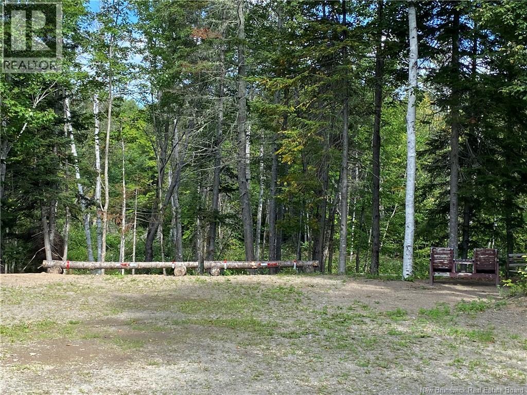 390 Theriault Road, Middle River, New Brunswick  E2A 6Y8 - Photo 32 - NB116813