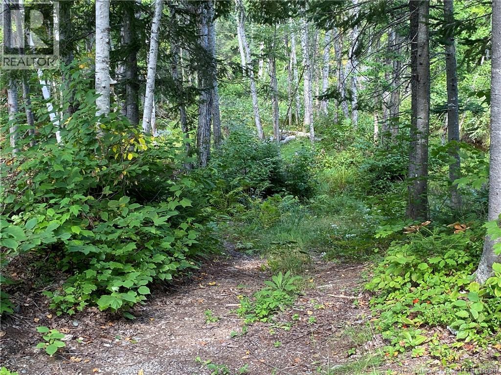 390 Theriault Road, Middle River, New Brunswick  E2A 6Y8 - Photo 33 - NB116813