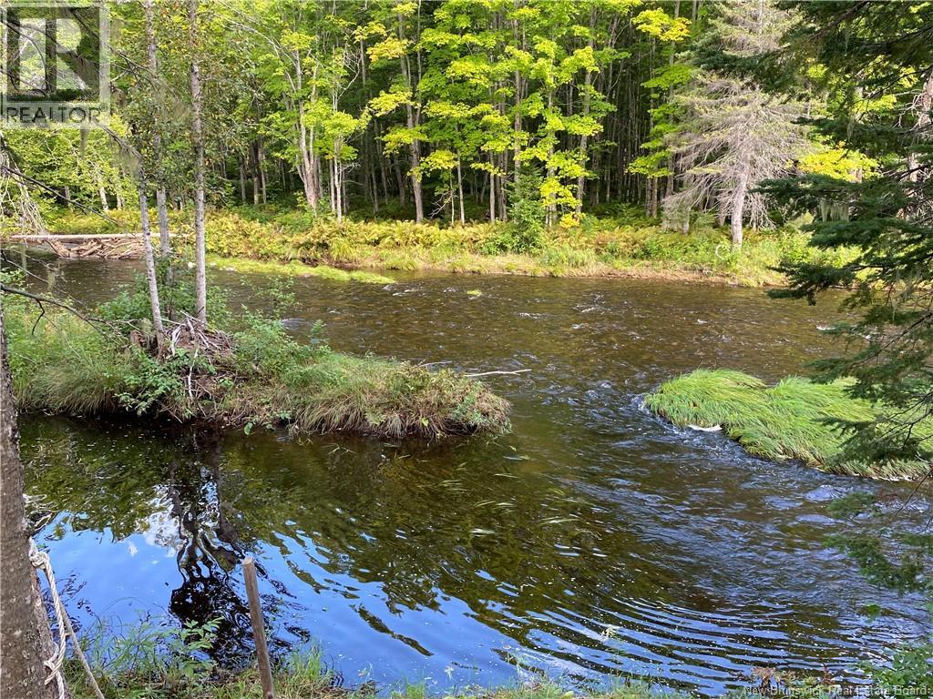 390 Theriault Road, Middle River, New Brunswick  E2A 6Y8 - Photo 35 - NB116813