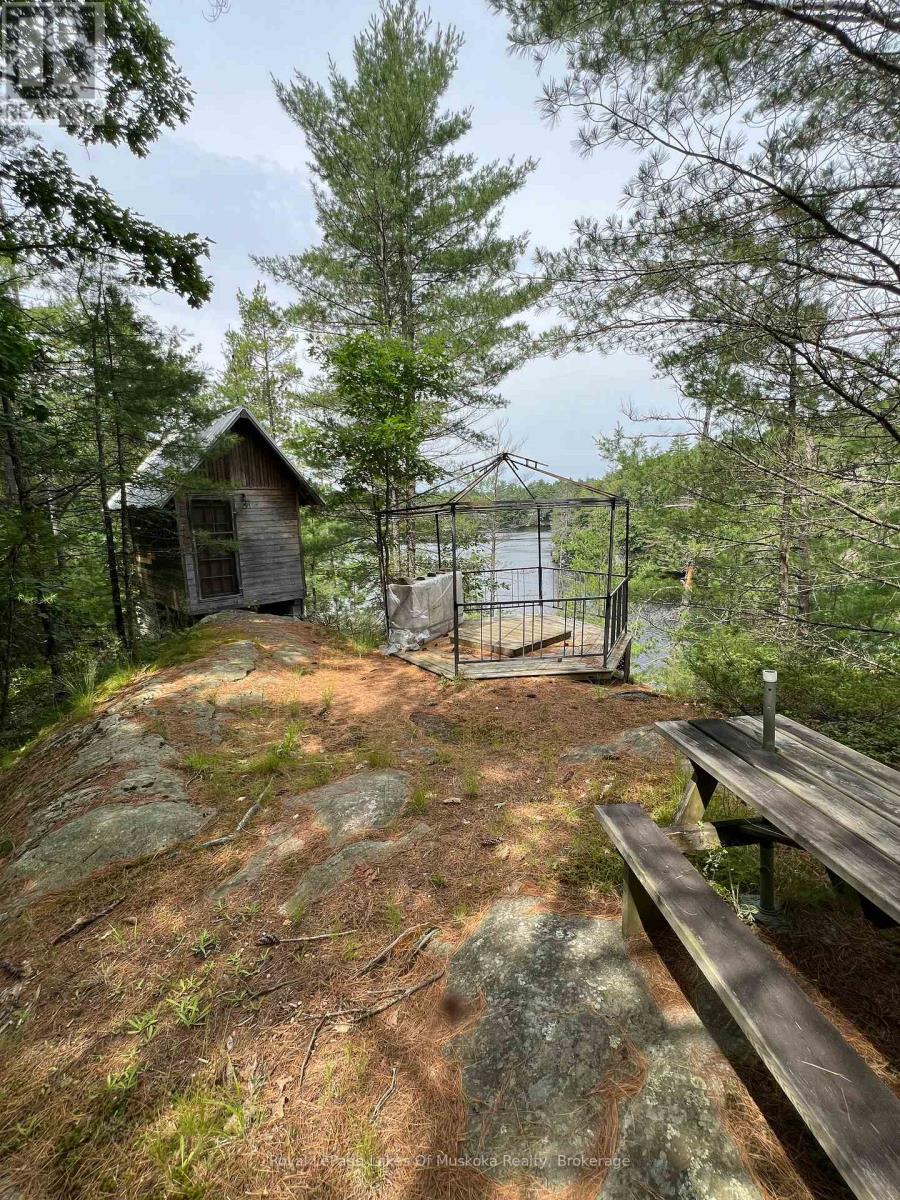 998 Gull Lake, Gravenhurst, Ontario  P1P 1V5 - Photo 24 - X11928676
