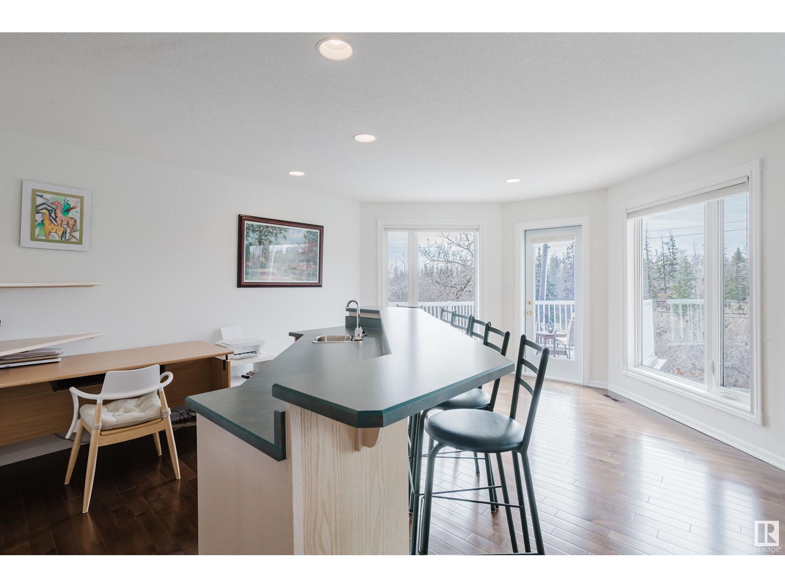 7731 112s Av Nw, Edmonton, Alberta  T5B 0H5 - Photo 51 - E4432161