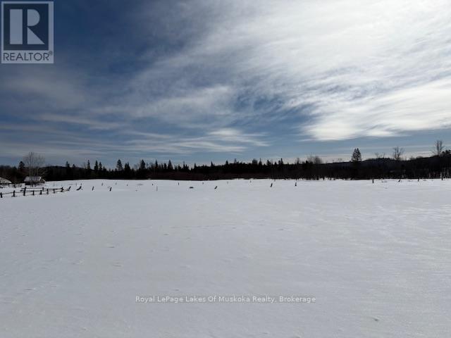1105 Old Muskoka Road, Huntsville, Ontario  P0B 1M0 - Photo 35 - X11979145