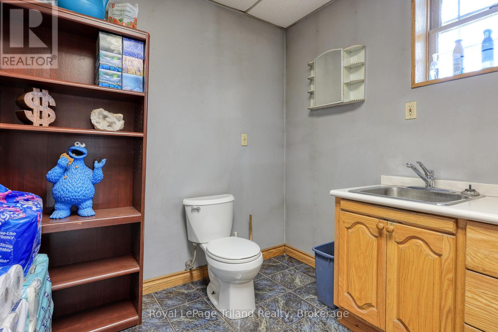 22 Charles Street East Street E, Ingersoll (Ingersoll - South), Ontario  N5C 1J4 - Photo 27 - X12098201