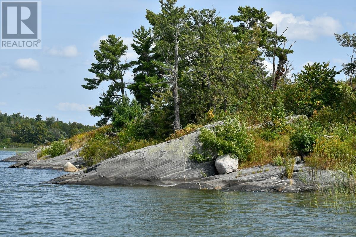 Sabaskong Bay Island G2217, Morson, Ontario  P0W 1J0 - Photo 38 - TB250843