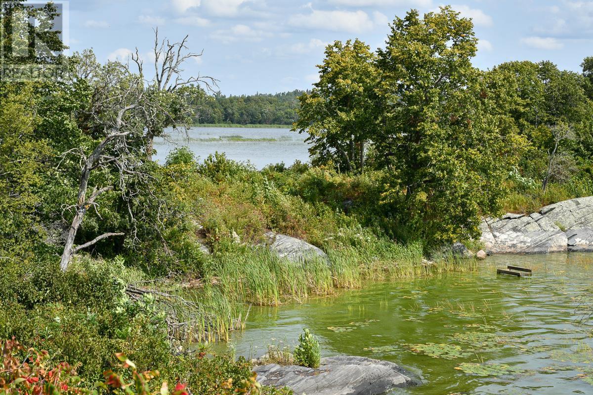 Sabaskong Bay Island G2217, Morson, Ontario  P0W 1J0 - Photo 46 - TB250843