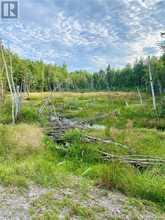 104.6 Acres Daigle Road, South Tetagouche, New Brunswick  E2A 7G8 - Photo 2 - NB116833