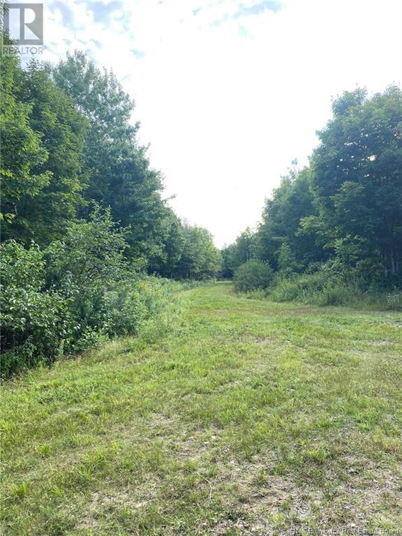 104.6 Acres Daigle Road, South Tetagouche, New Brunswick  E2A 7G8 - Photo 13 - NB116833