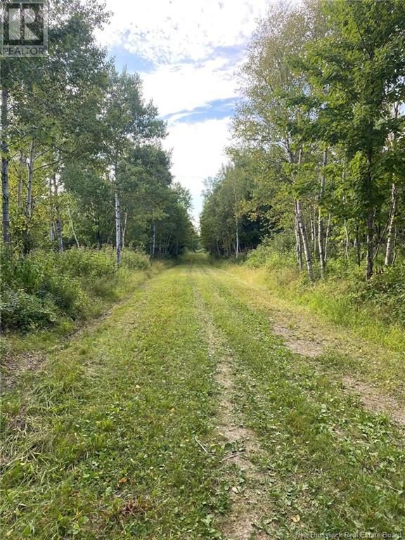 104.6 Acres Daigle Road, South Tetagouche, New Brunswick  E2A 7G8 - Photo 7 - NB116833