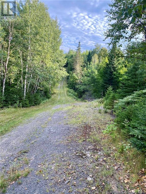 104.6 Acres Daigle Road, South Tetagouche, New Brunswick  E2A 7G8 - Photo 8 - NB116833