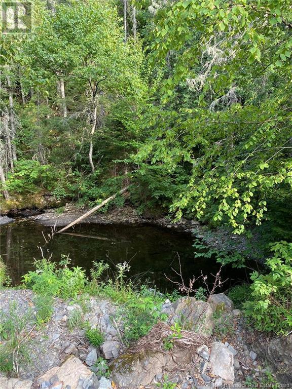 104.6 Acres Daigle Road, South Tetagouche, New Brunswick  E2A 7G8 - Photo 4 - NB116833