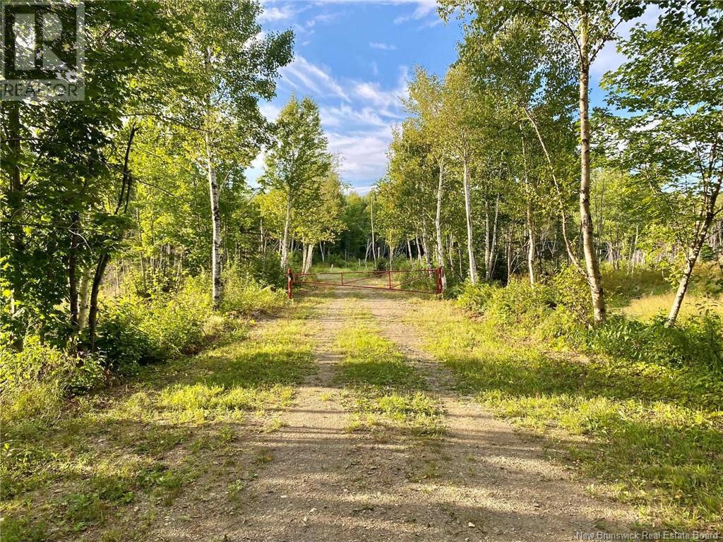 104.6 Acres Daigle Road, South Tetagouche, New Brunswick  E2A 7G8 - Photo 3 - NB116833
