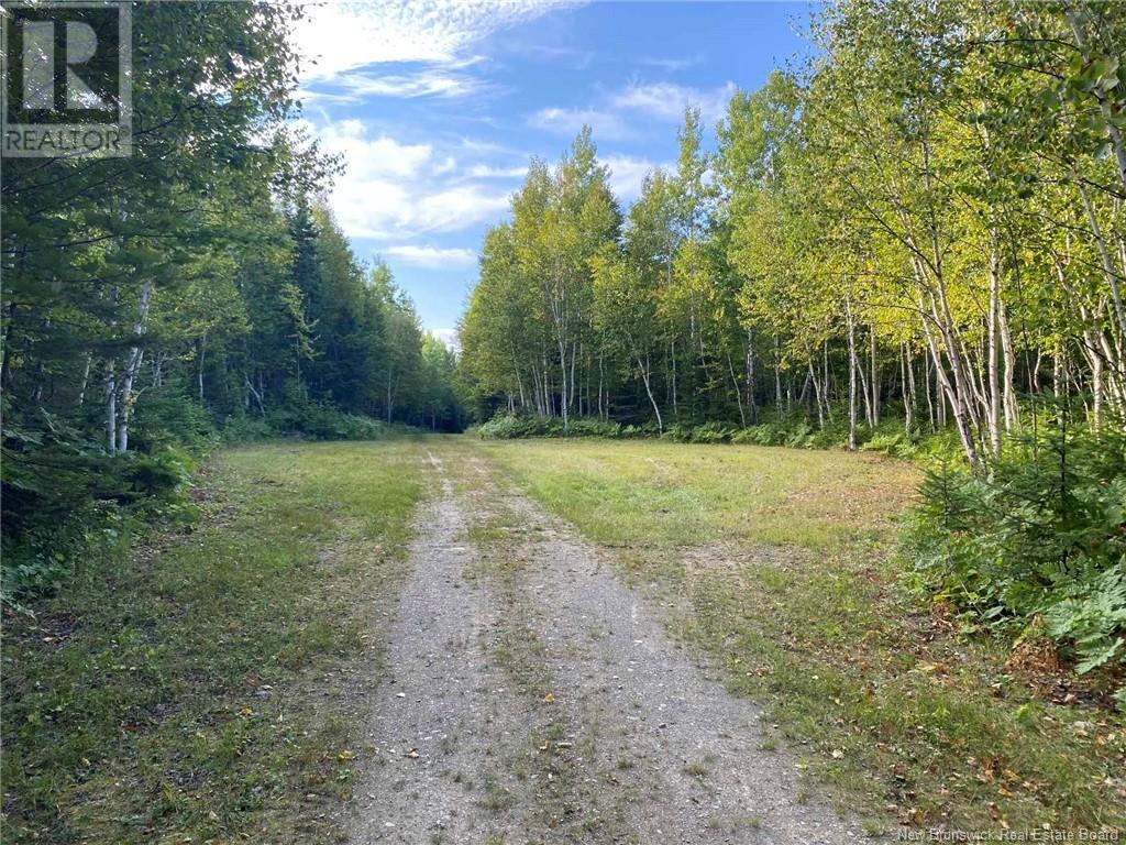 104.6 Acres Daigle Road, South Tetagouche, New Brunswick  E2A 7G8 - Photo 9 - NB116833