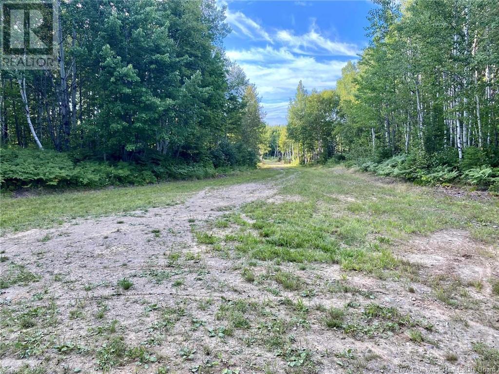 104.6 Acres Daigle Road, South Tetagouche, New Brunswick  E2A 7G8 - Photo 5 - NB116833