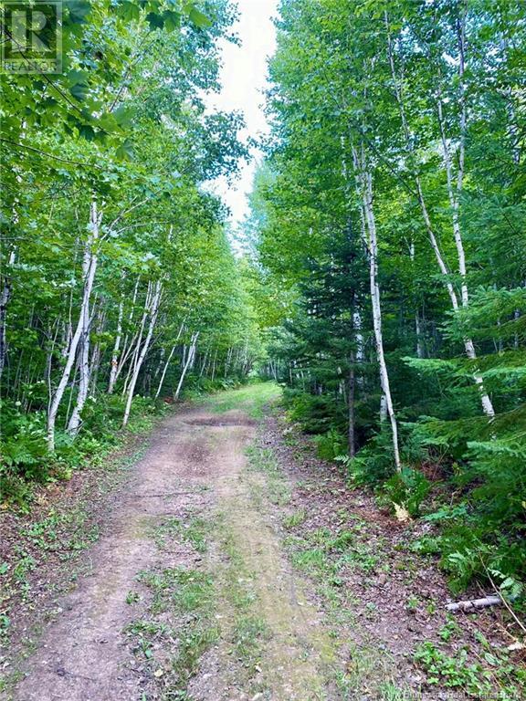 104.6 Acres Daigle Road, South Tetagouche, New Brunswick  E2A 7G8 - Photo 18 - NB116833