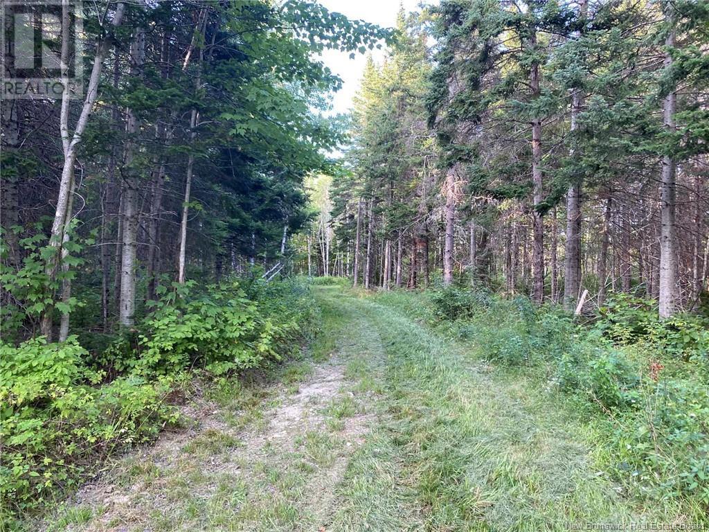 104.6 Acres Daigle Road, South Tetagouche, New Brunswick  E2A 7G8 - Photo 14 - NB116833