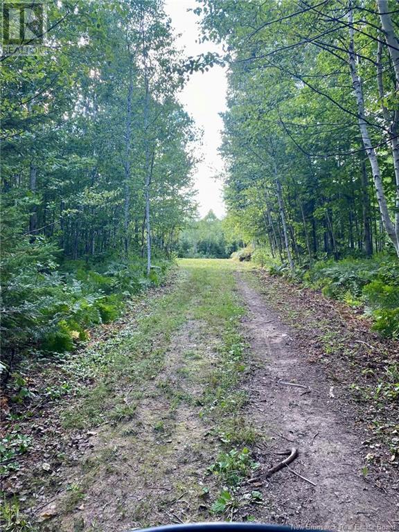 104.6 Acres Daigle Road, South Tetagouche, New Brunswick  E2A 7G8 - Photo 16 - NB116833