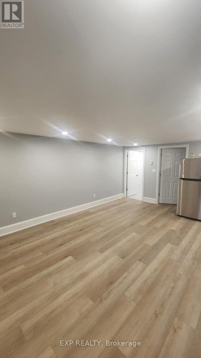 Lower - 789 Pape Avenue, Toronto, Ontario  M4K 3T2 - Photo 4 - E12096958