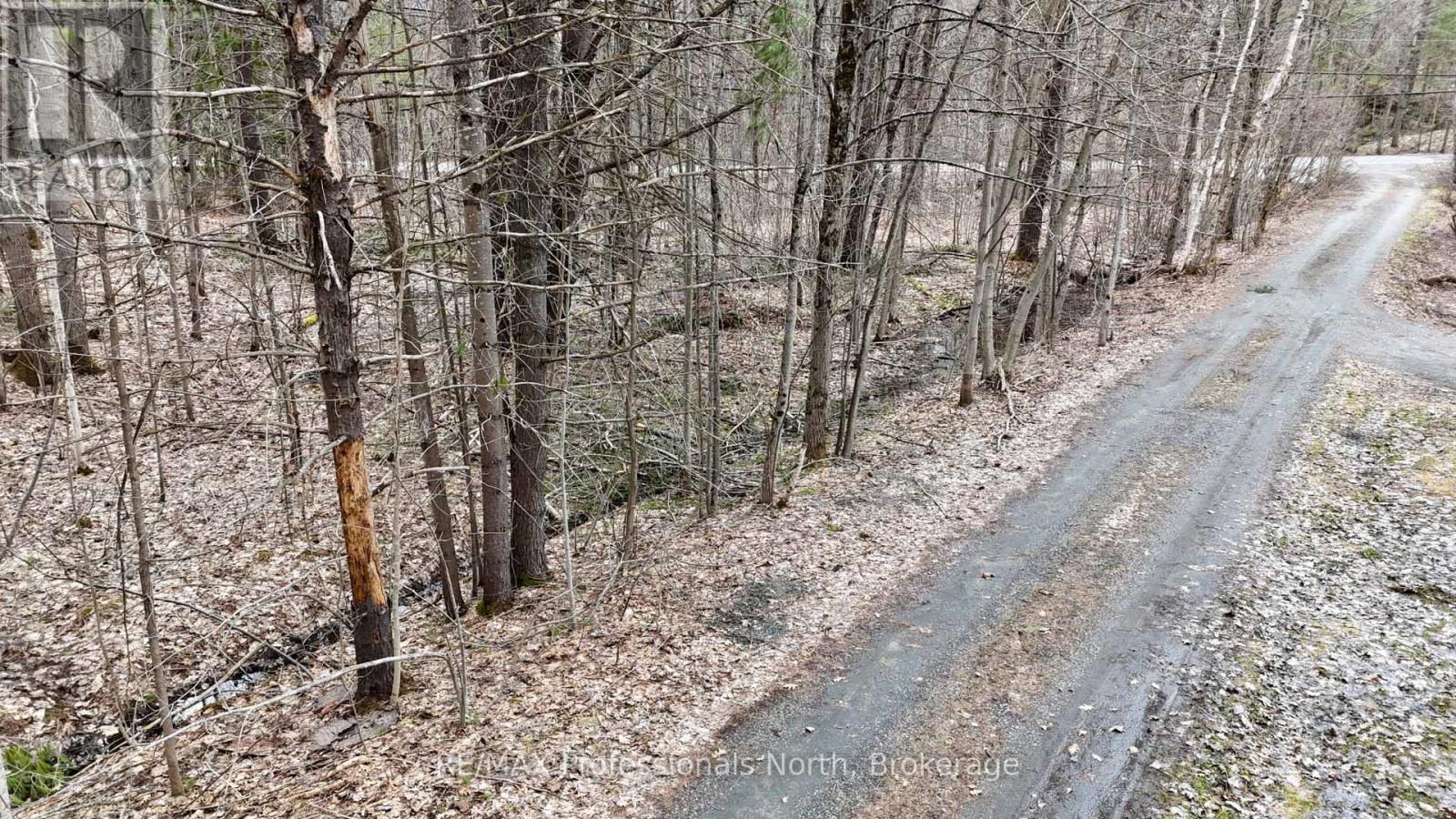 0 Green Place Road, Gravenhurst, Ontario P0E 1G0 - Photo 6 - X12098595