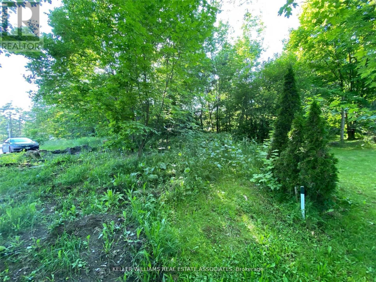3172 Muskoka 169 Road, Muskoka Lakes, Ontario  P1P 1R2 - Photo 8 - X12098844
