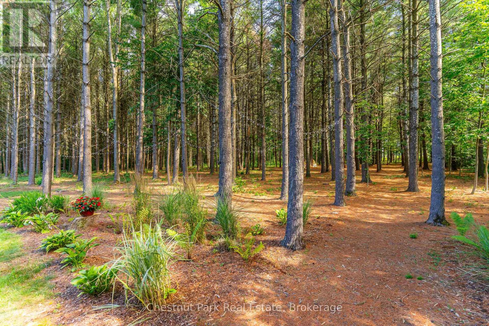 303273 Sideroad 33, Meaford, Ontario  N0H 1B0 - Photo 44 - X12099411