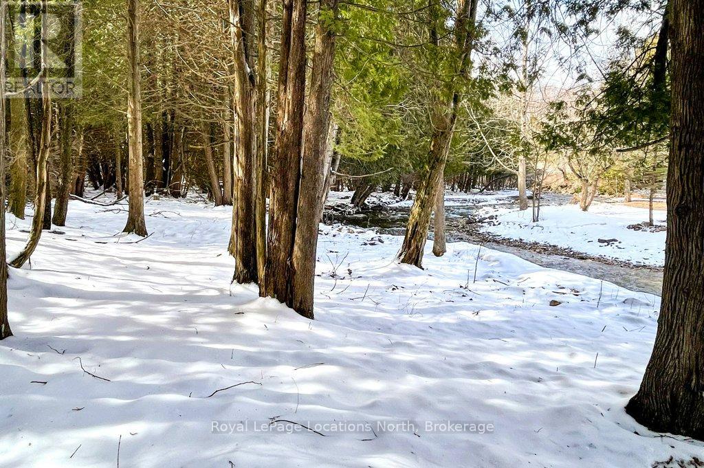 9265 County 9 Road, Clearview, Ontario  L0M 1G0 - Photo 45 - S12076751