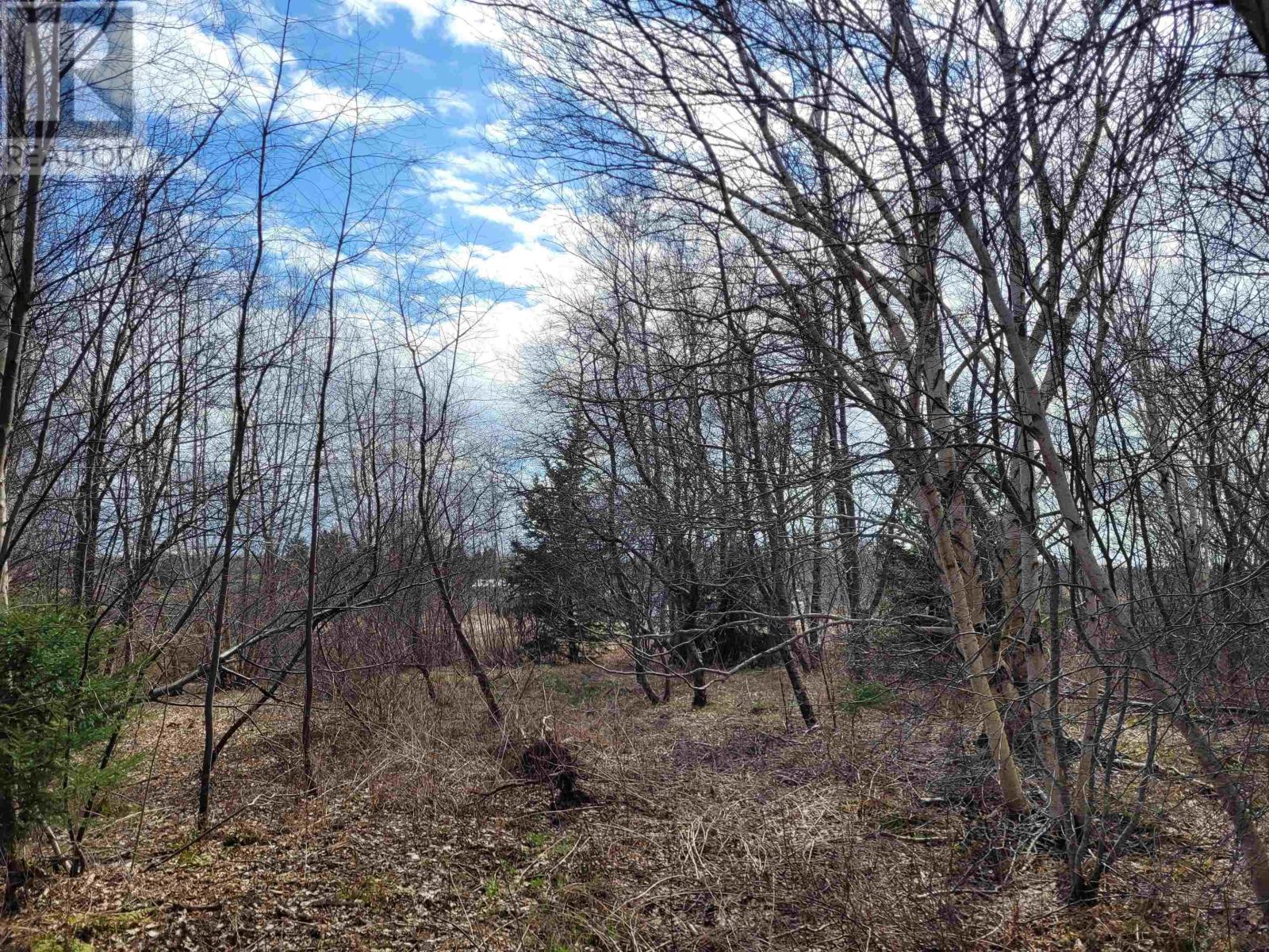 Wharf Road, Noel, Nova Scotia  B0N 2C0 - Photo 10 - 202508690