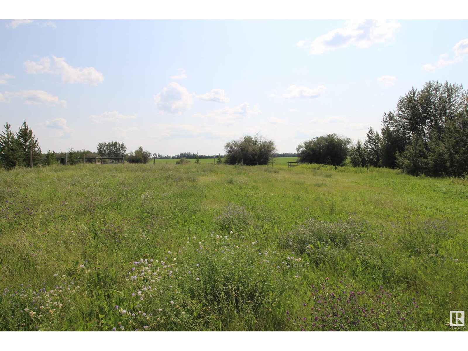 26521 Twp Rd 584, Rural Westlock County, Alberta  T7P 2P6 - Photo 13 - E4432289