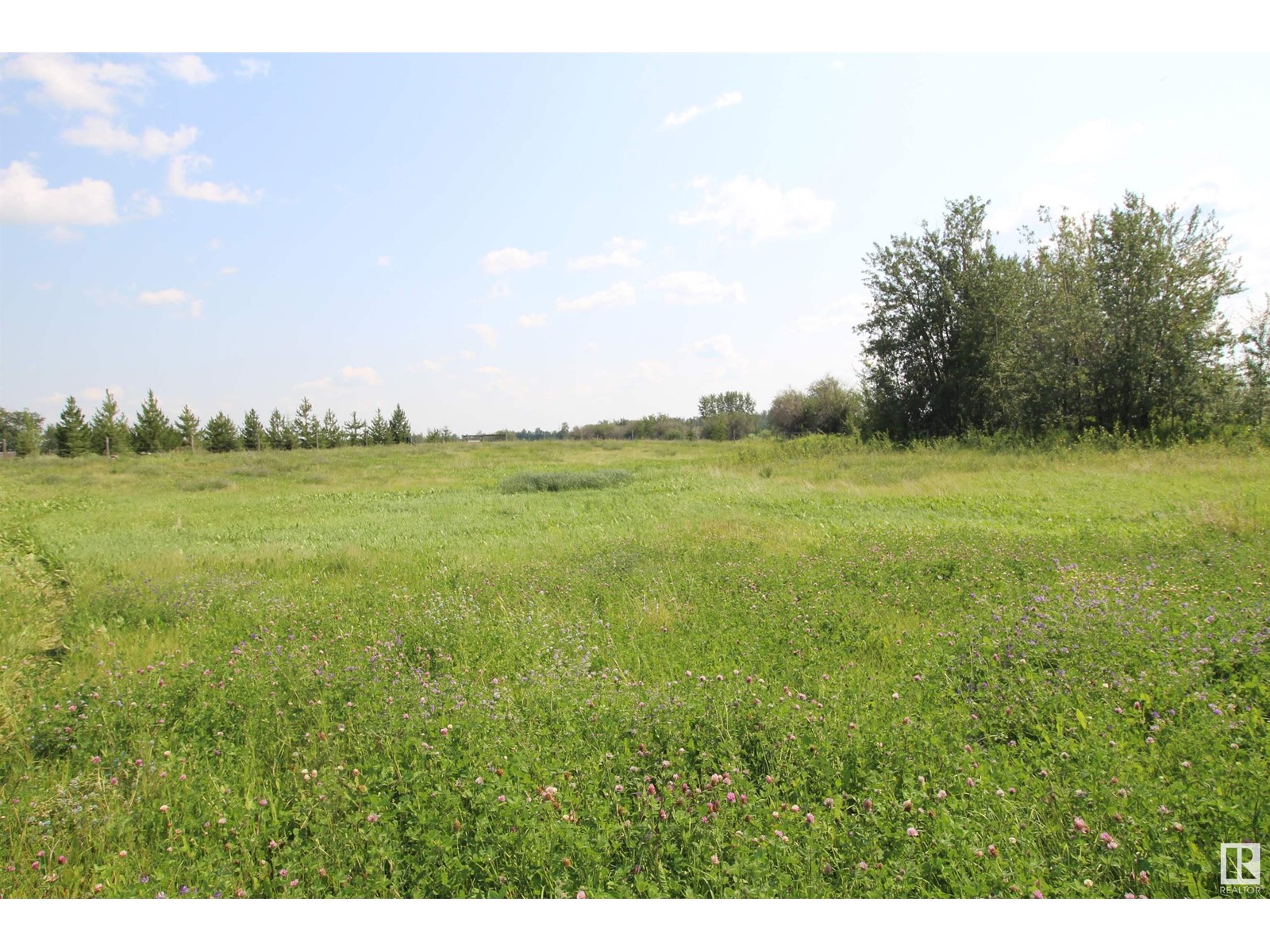 26521 Twp Rd 584, Rural Westlock County, Alberta  T7P 2P6 - Photo 12 - E4432289