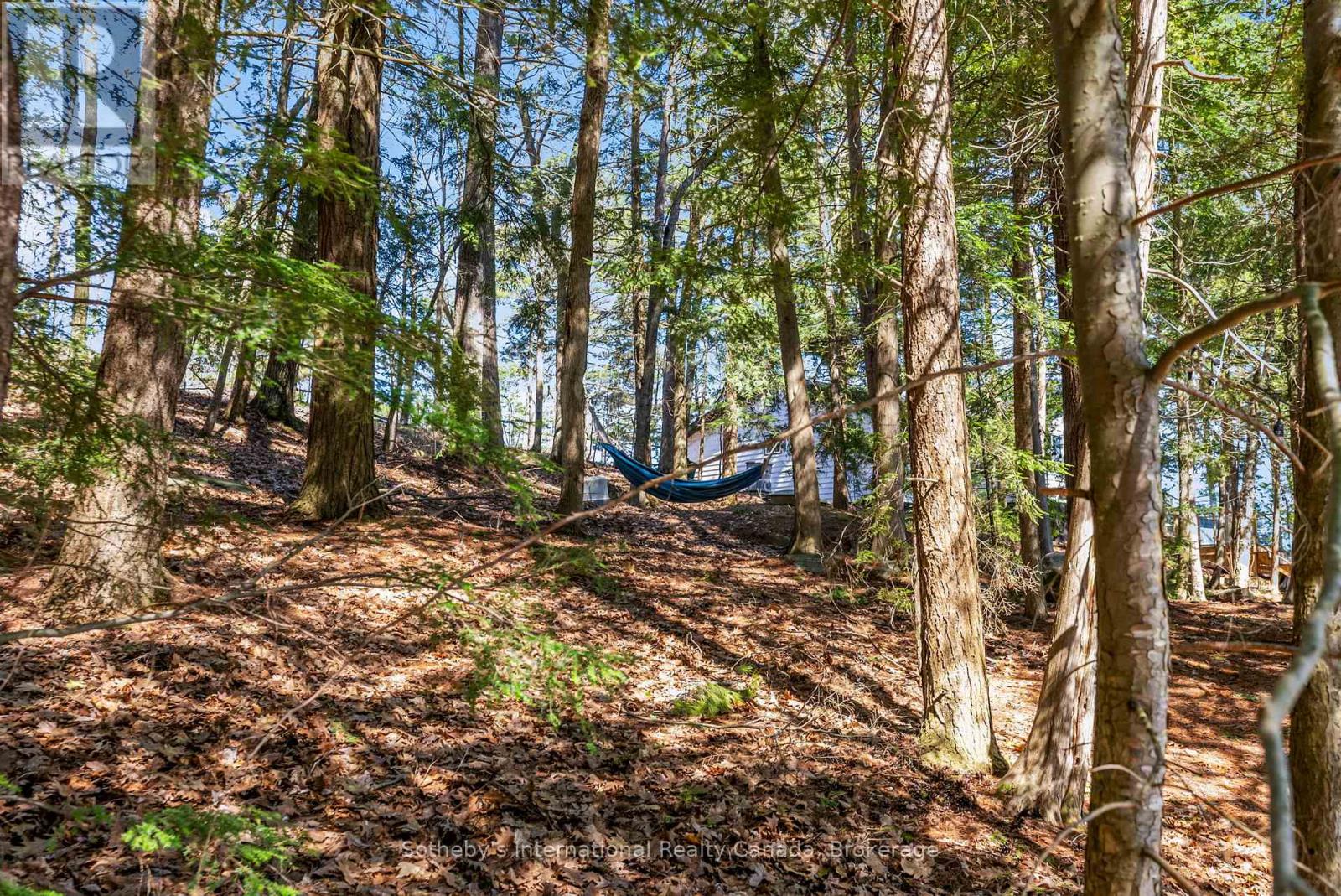29 Beachgrove Island 33lm, Gravenhurst, Ontario  P1P 1R2 - Photo 44 - X12030072